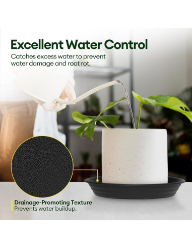 Paquete de 4 platos para plantas Maygrove 20 cm multicolor
