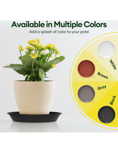 Paquete de 4 platos para plantas Maygrove 20 cm multicolor