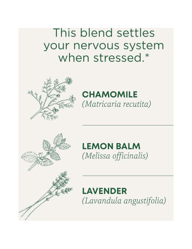 Té Orgánico de Manzanilla y Lavanda Tradicional 48 Bolsitas