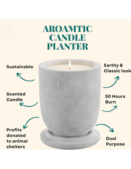 Maceta de Cemento Matani con Vela Aromática Lavanda Gris Maceta de Cemento Matani con Vela Aromática Lavanda Gris