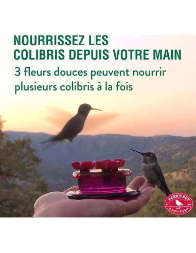 Alimentador de Colibríes de Mano y Mesa Perky-Pet 9100 - 59 ml