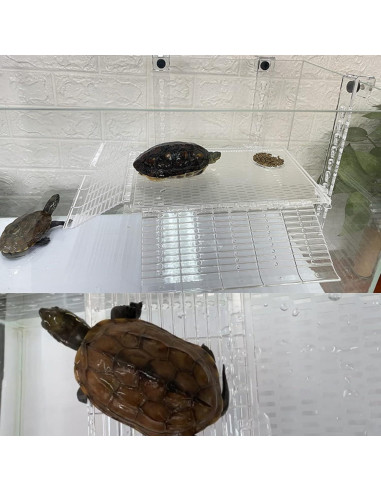 Plataforma de Sol para Tortugas Mairuker 35.56cm Acrílico