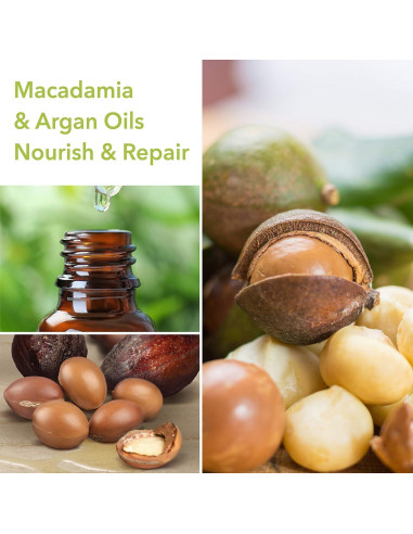 Champú Reparador Macadamia Professional 310g Libre de Sulfatos
