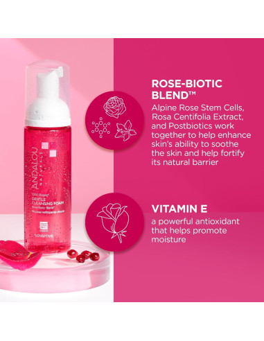 Espuma Limpiadora Suave Andalou Naturals 200ml Rosa Aloe