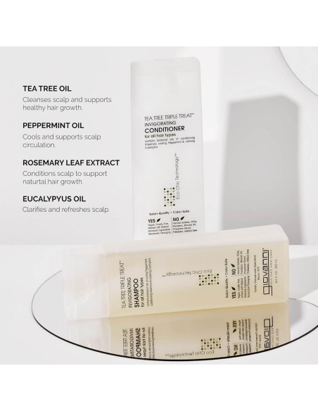 GIOVANNI Champú y Acondicionador Árbol de Té 240 ml GIOVANNI Champú y Acondicionador Árbol de Té 240 ml