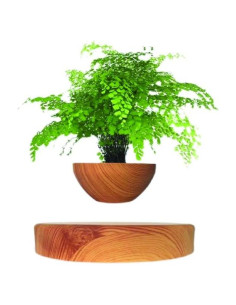 Maceta Flotante Magnética Genérico 25cm Minimalista