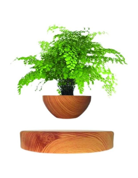Maceta Flotante Magnética Genérico 25cm Minimalista Maceta Flotante Magnética Genérico 25cm Minimalista