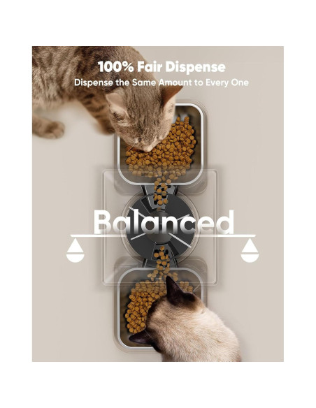 Comedero Automático Oneisall para 2 Gatos 5L Temporizado Comedero Automático Oneisall para 2 Gatos 5L Temporizado