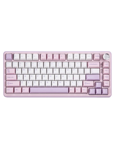 Teclado Mecánico Inalámbrico YUNZII B75 PRO 75% RGB