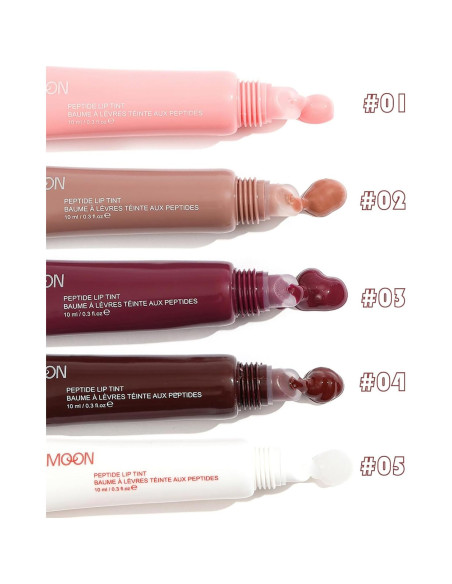 Brillo Labial Hidratante DENESTUP Lip Jam 5 Colores Nude Brillo Labial Hidratante DENESTUP Lip Jam 5 Colores Nude