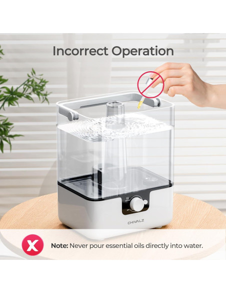 Humidificador CHIVALZ 6L para Dormitorio y Bebés, Silencioso Humidificador CHIVALZ 6L para Dormitorio y Bebés, Silencioso