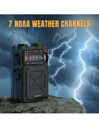 Radio Portátil Raddy RE40 FM/AM/SW/WB 4000mAh con Bluetooth