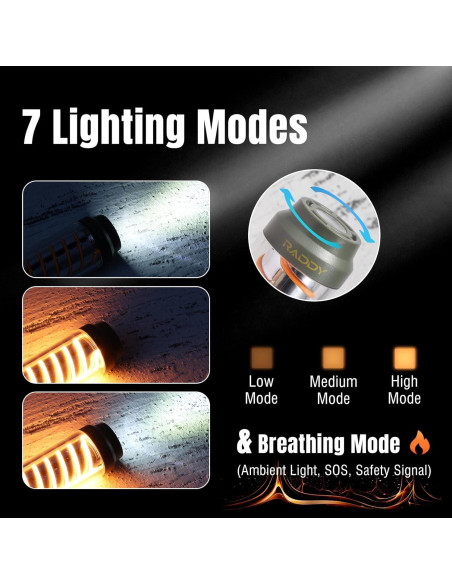 Radio de Onda Corta Raddy RF320 con Linterna Recargable CL-1 Radio de Onda Corta Raddy RF320 con Linterna Recargable CL-1