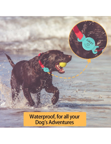 Soporte de Collar para Perros WOWTIFY AirTag Personalizado
