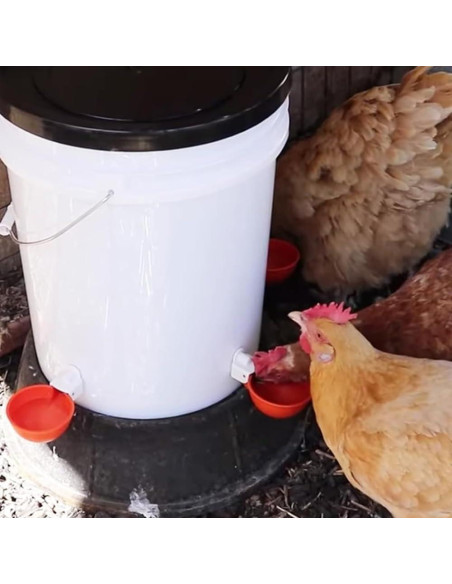 Tazas de Bebida Automáticas MODUODUO 12 Pcs para Aves Tazas de Bebida Automáticas MODUODUO 12 Pcs para Aves