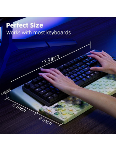 Soporte Ergonómico para Teclado Ospelelf Anémona 0.99 kg