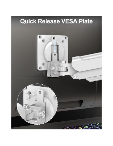 Soporte de Monitor ErgoFocus para Pantallas de 32" Blanco