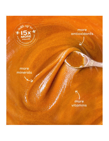 Miel Manuka Steens 223.6g - MGO 830+ y UMF 20+ Cruda Pura