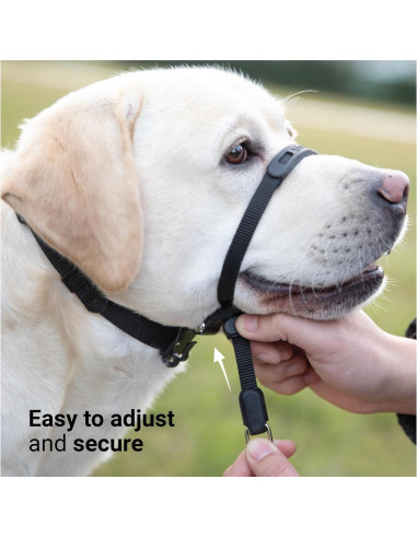 Collar de Cabeza Sin Tirones SVD.PET Verde Militar Mediano