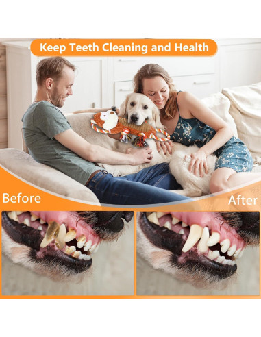 Juguete interactivo para perros grandes Drmstow con sonido y cuerda