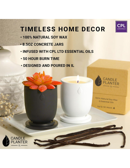 Maceta de Cemento Matani con Vela Aromática de Soja Vainilla Maceta de Cemento Matani con Vela Aromática de Soja Vainilla
