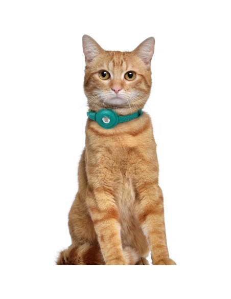 Collar de Gato de Cuero OOPSDOGGY con AirTag - Ajustable 20-28 cm Collar de Gato de Cuero OOPSDOGGY con AirTag - Ajustable 20-28 cm