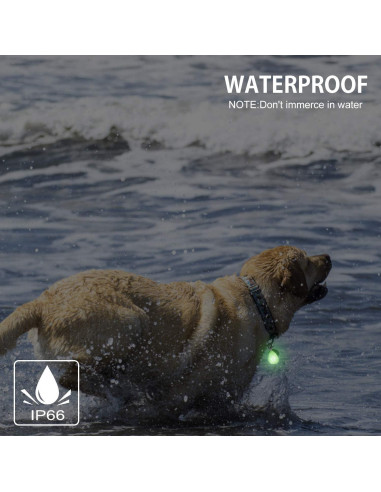 Paquete de 2 Luces LED Recargables para Perros NOVKIN - Impermeables