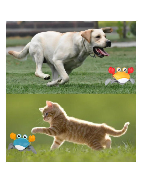 Juguete Interactivo para Perros y Gatos Cangrejo Verde con Sensor Juguete Interactivo para Perros y Gatos Cangrejo Verde con Sensor