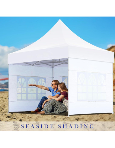 Paredes Laterales de Carpa Windyun 6 Pcs 3x2m con Ventanas