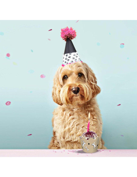 Fundas para Cupcake Confetti Couture 24 Pzs Reversibles Fundas para Cupcake Confetti Couture 24 Pzs Reversibles