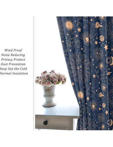 Cortina Blackout Llylumty 2 Paneles Espacial 70x160cm