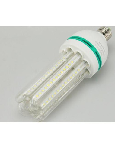 Kit de Iluminación LED ePhoto 2x120 con Paraguas 5500K