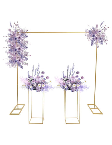 Kit de Soporte de Fondo Ajustable Weglae 2m x 2m para Bodas
