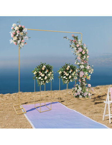 Kit de Soporte de Fondo Ajustable Weglae 2m x 2m para Bodas