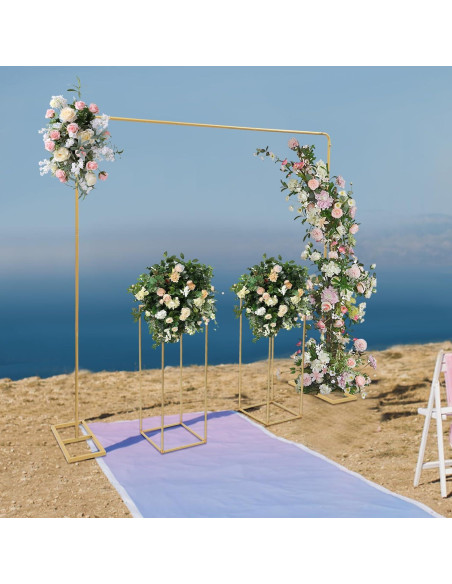 Kit de Soporte de Fondo Ajustable Weglae 2m x 2m para Bodas Kit de Soporte de Fondo Ajustable Weglae 2m x 2m para Bodas