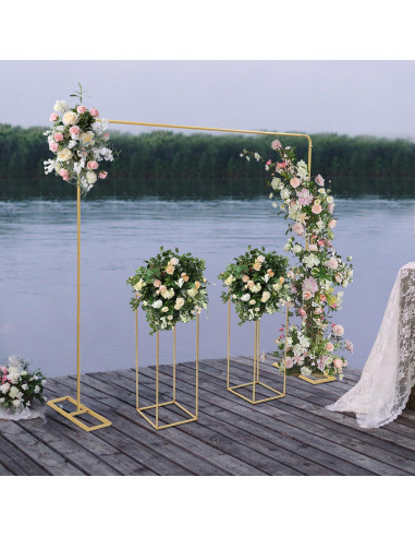 Kit de Soporte de Fondo Ajustable Weglae 2m x 2m para Bodas