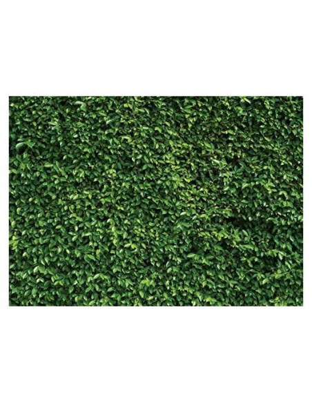 Fondo Fotográfico Verde Hojas SJOLOON 2.4x1.8m Vinilo Fondo Fotográfico Verde Hojas SJOLOON 2.4x1.8m Vinilo
