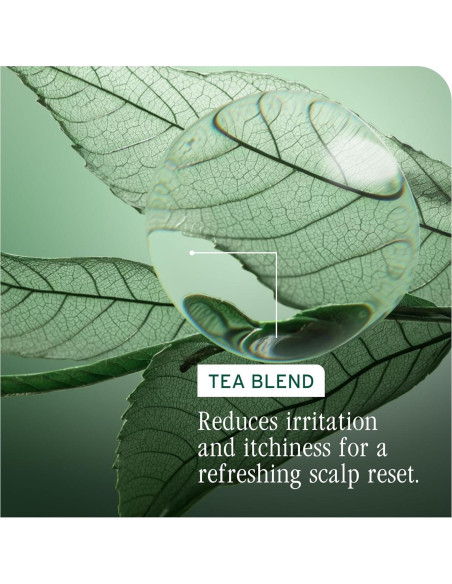 Champú Anticaspa Biolage Scalp Sync 50 ml - Vegano y Eficaz Champú Anticaspa Biolage Scalp Sync 50 ml - Vegano y Eficaz