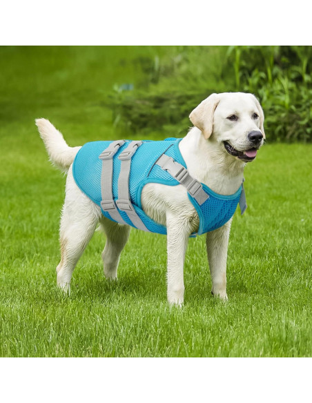 Chaleco Refrigerante Kuoser para Perros Pequeños Azul S Chaleco Refrigerante Kuoser para Perros Pequeños Azul S