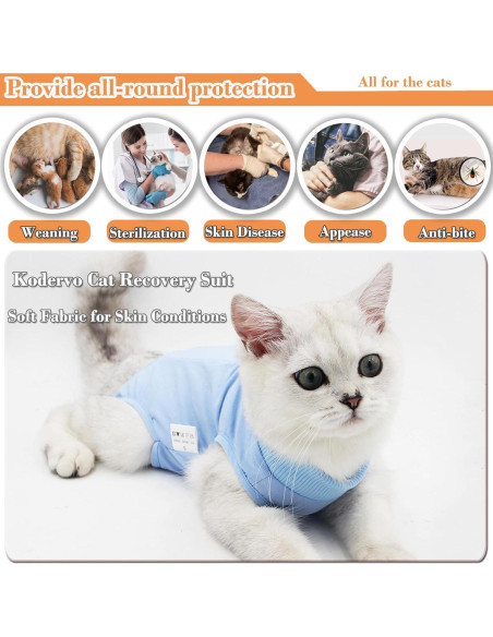 Traje de Recuperación Quirúrgica para Gatos Kodervo Azul Pequeño Traje de Recuperación Quirúrgica para Gatos Kodervo Azul Pequeño