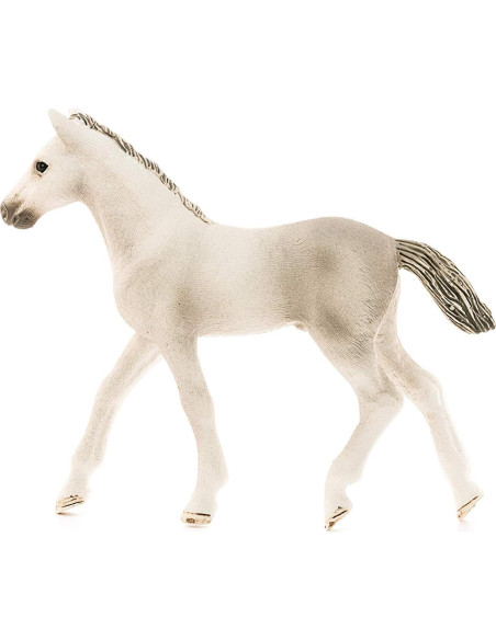 Figura Potro Holsteiner Schleich 10x10x8 cm 5+ años Figura Potro Holsteiner Schleich 10x10x8 cm 5+ años