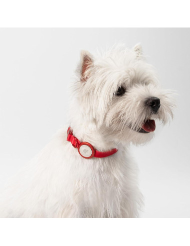 Soporte para AirTag BuddyArmor - Collar Gato/Perro Verde S