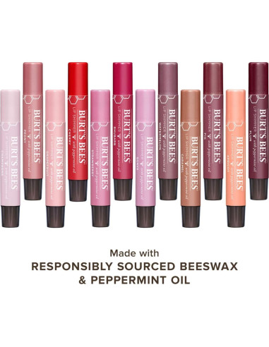 Brillo Labial Burt's Bees Ciruela 100% Natural - 2 Tubos