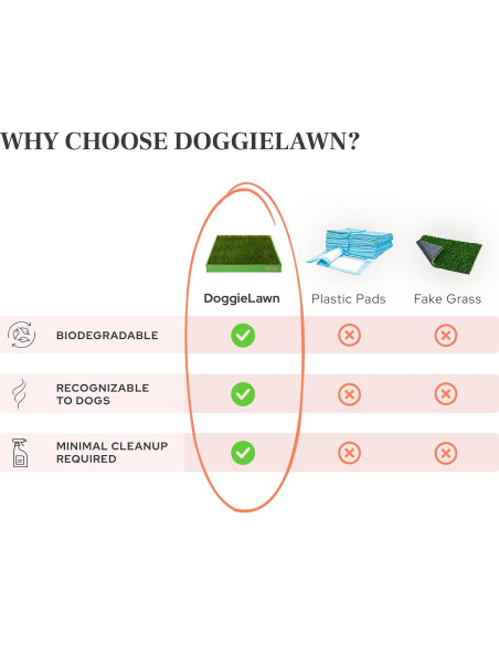 Almohadilla de Césped Real DoggieLawn 61x51 cm para Perros Almohadilla de Césped Real DoggieLawn 61x51 cm para Perros
