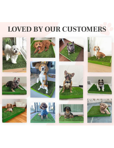 Almohadilla de Césped Real DoggieLawn 61x51 cm para Perros