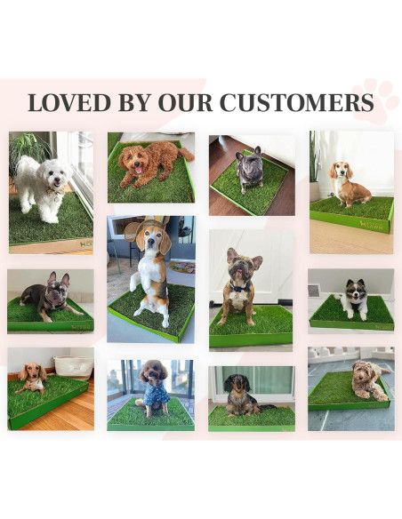 Almohadilla de Césped Real DoggieLawn 61x51 cm para Perros Almohadilla de Césped Real DoggieLawn 61x51 cm para Perros