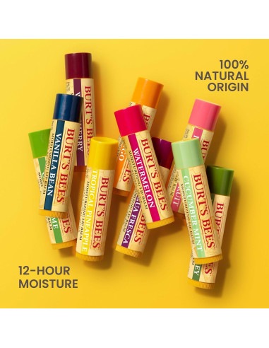 Set de Balsamos Labiales Burt's Bees - 4 Tubos 4.25g