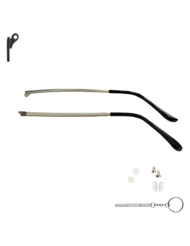 Patas de Reemplazo para Gafas Clony Metal Plateado 138mm