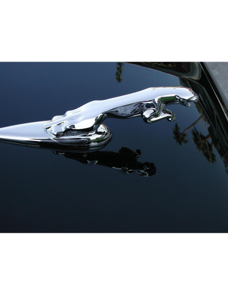 Cera de Carnauba P21S 12700W - Brillo Espejo 175g Cera de Carnauba P21S 12700W - Brillo Espejo 175g