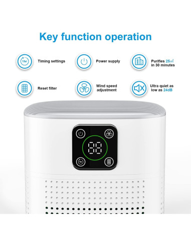 Purificador de Aire Honeyuan H13 HEPA 600 ft Blanco